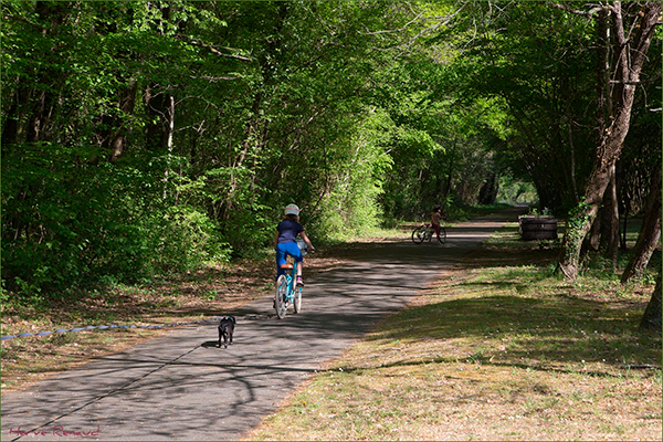 Activit s De Loisirs Barbezieux Saint Hilaire